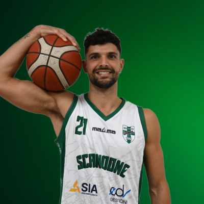 stefanini (1)