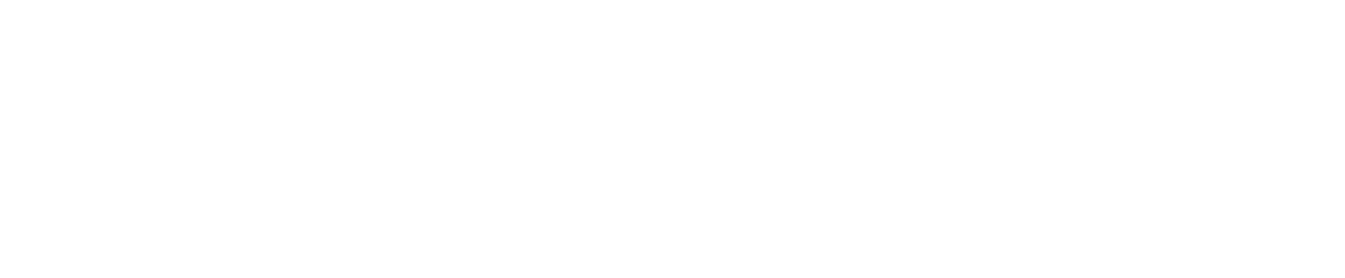 Studio Palmieri Commercialisti