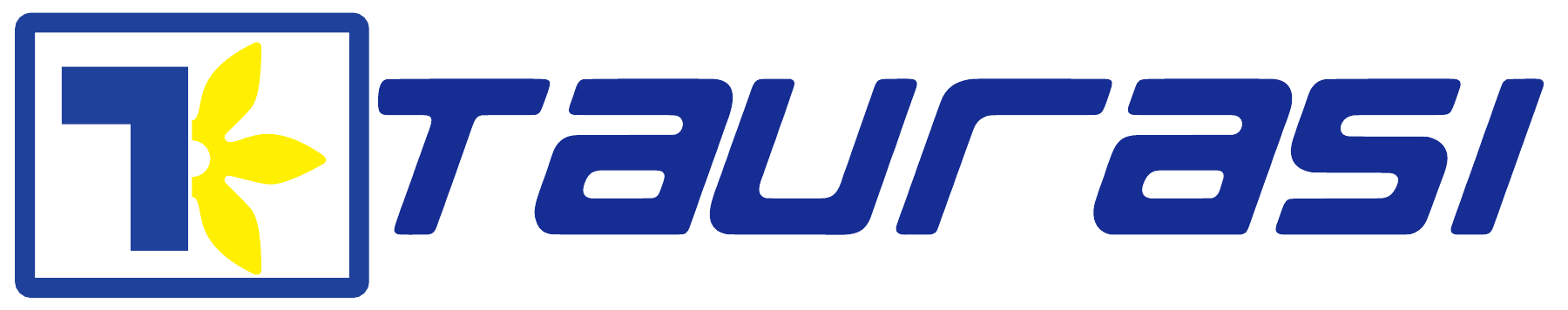 Taurasi Engineering